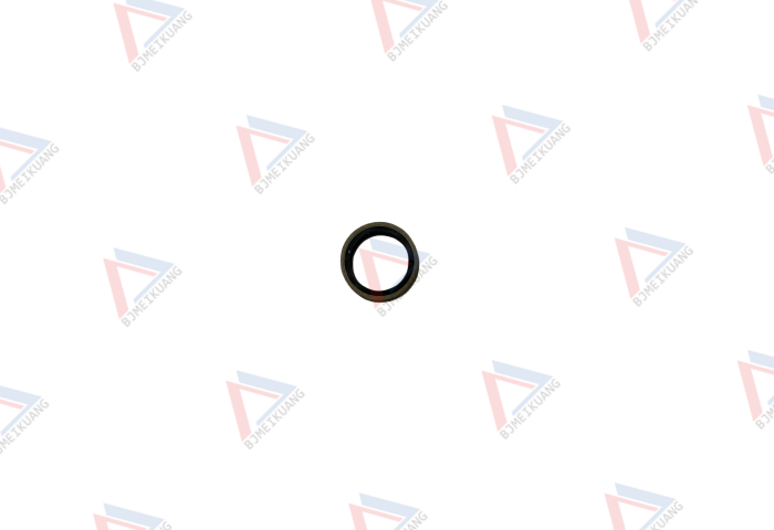 密封圈 MK873.0383-00